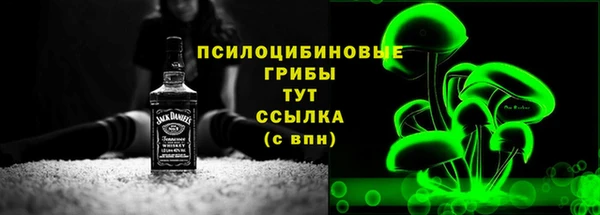 стаф Няндома