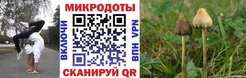 Псилоцибиновые грибы Psilocybe ОМГ ОМГ как зайти Нижняя Тура